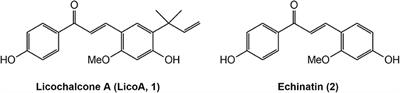 Licochalcone a Exhibits Leishmanicidal Activity in vitro and in Experimental Model of Leishmania (Leishmania) Infantum